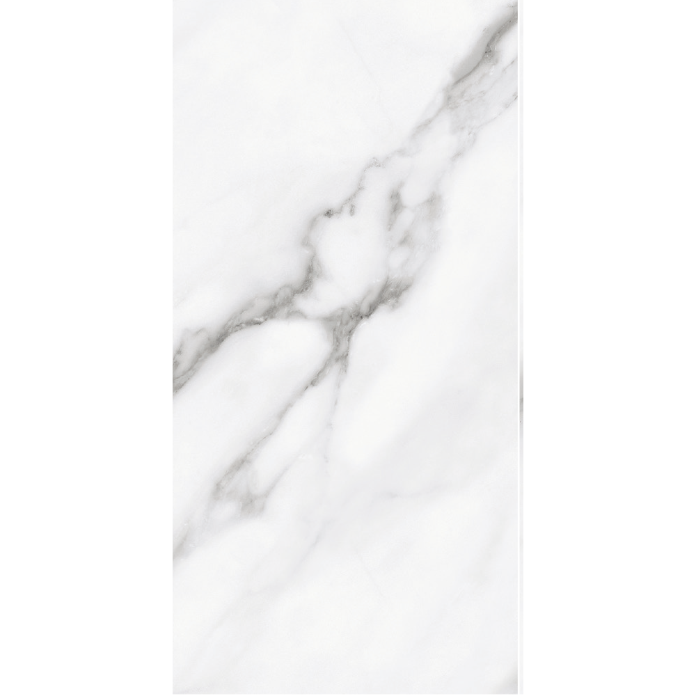 <b>Divina</b> Calacatta 60x120 lucido R9